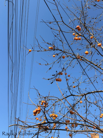 Zimní Hissarya. Bulharsko 2025, Radka Rubilina